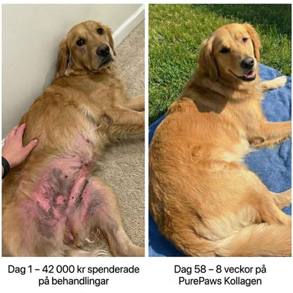 PurePaws Premium Liquid Collagen